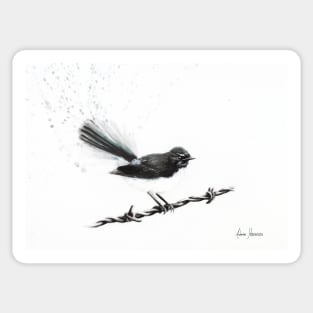 Coleraine Willy Wagtail Sticker